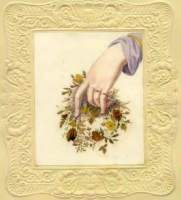 Watercolor by Susan Bertie