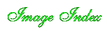 Image Index