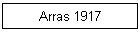 Arras 1917