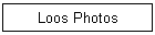 Loos Photos