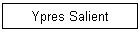 Ypres Salient