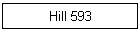 Hill 593