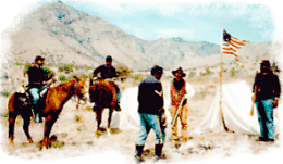 BuffaloSoldiers.com - Who are the Buffalo Soldiers? African Americans have fought in military conflicts since colonial days. However, the Buffalo Soldiers, comprised of former slaves, freemen and Black Civil War soldiers, were the first to serve during peacetime.