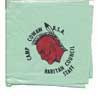 camp cowaw neckerchief 2.1