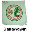 Sakawawin Neckerchief 2