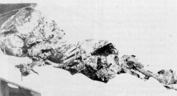 Remains of the supposed Lindbergh Baby