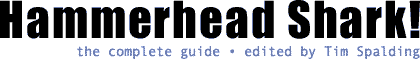 Hammerhead Shark!