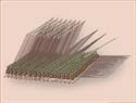 Macedonian phalanx in battle formation