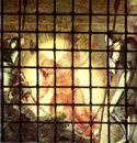Raphael Deliverance of St Peter idetaili c 