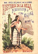 The History of the Beautiful Mallitzin or Dona Marina