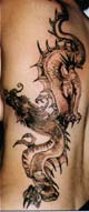 from the Draco's Lair tattoo gallery