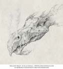 Dragon Head by Silas Toball