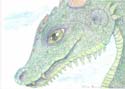 Green Dragon Closeup by Alicia Hamm