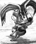 Hippogriff iunknown artisti