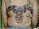 griffon-tattoo