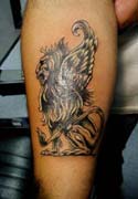 Black and Gray griffin by Cuda