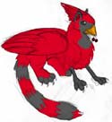 Cardinal gryphon by Jana Hill