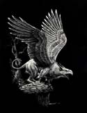 Screaming Griffon  by Staney Morrison