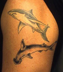 hammerhead-tattoos