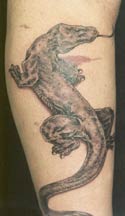 komodotattoo