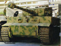 German Tiger