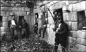A group of friends at Machu Picchu  photo by Martiacuten Chambi 