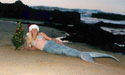 You don't see a mermaid on th beach with a Christmas tree everydayhellip