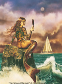 The Tattooed Mermaid David Delamare