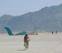  Burning Man festival Photo by Francis Wenderlich
