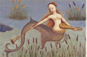 mermaids-ancmed