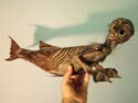 Old Fiji Mermaid by Juan Cabana