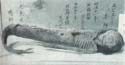 Old Chinese Mummy Mermaid