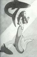 Mermaid and Sharks by Anna Avila