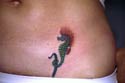 seahorsetatoos