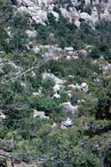 Termessos graves photo by Dick Osseman