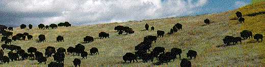 Native Americans - Indian Homes, Native Housing, Tipis, Wigwams and Longhouses