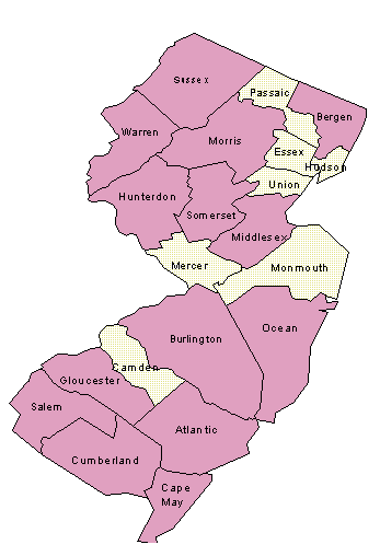 suffrage.gif (6392 bytes)