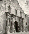 The Alamo