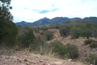 Santa Rita Mountains