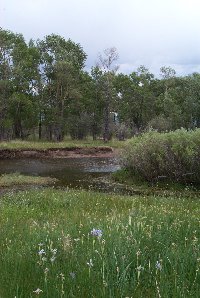 Laramie River Crossing