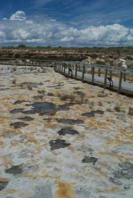 Clayton Lake Dinosaur Tracks, New Mexico 