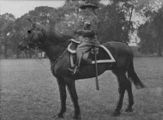 JG Gilberd on Upright