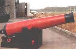 RML 64-pr 71-cwt gun on local pattern carriage