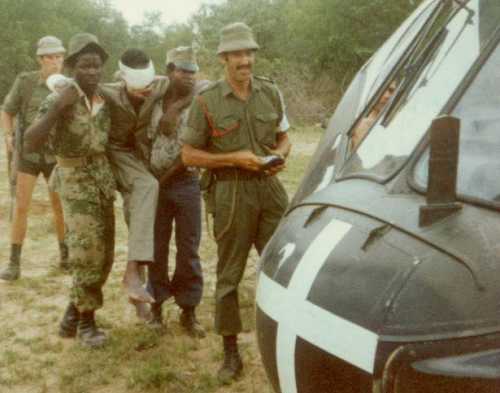 Click image for article