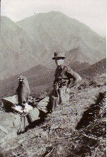 Click to expand image