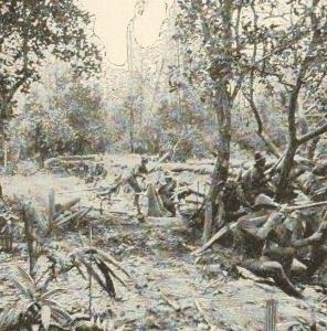 The 13th Minnesota in the trenches