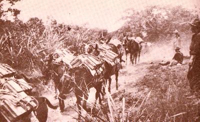 The road to the front