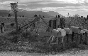 Near Sandpoint, ID 1939 FSA / OWI photo