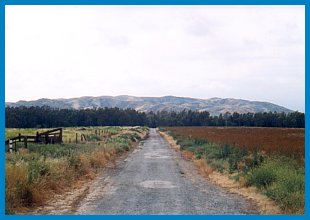 original_road_toward_prado.jpg (15933 bytes)