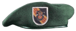 Vietnaw War - Overview of the Vietnam War - The Green Beret of the US Army Special Forces
